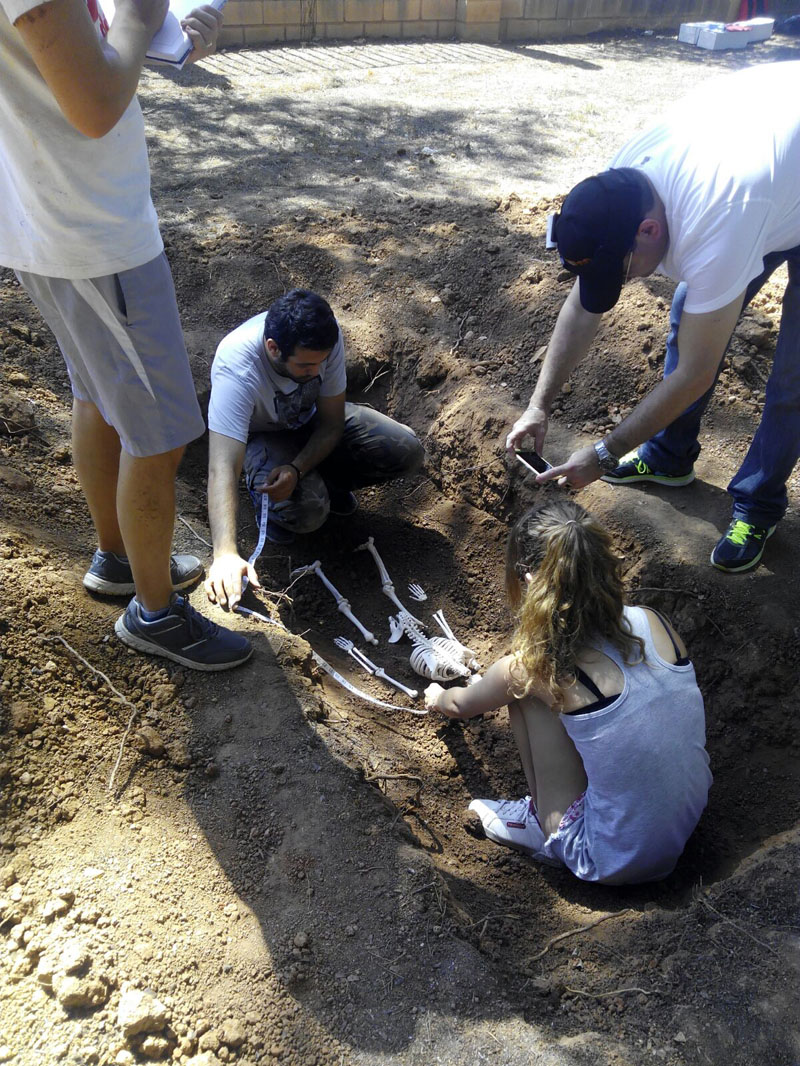 excavación forense2